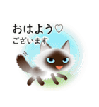 色々な猫4-3 長毛-立ち耳-シャム（個別スタンプ：1）