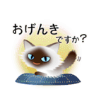 色々な猫4-3 長毛-立ち耳-シャム（個別スタンプ：4）