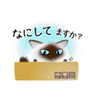 色々な猫4-3 長毛-立ち耳-シャム（個別スタンプ：8）