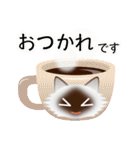 色々な猫4-3 長毛-立ち耳-シャム（個別スタンプ：9）