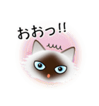 色々な猫4-3 長毛-立ち耳-シャム（個別スタンプ：10）