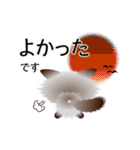 色々な猫4-3 長毛-立ち耳-シャム（個別スタンプ：11）