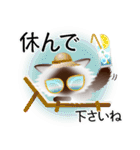 色々な猫4-3 長毛-立ち耳-シャム（個別スタンプ：13）