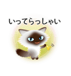 色々な猫4-3 長毛-立ち耳-シャム（個別スタンプ：15）