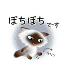 色々な猫4-3 長毛-立ち耳-シャム（個別スタンプ：20）