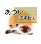 色々な猫4-3 長毛-立ち耳-シャム（個別スタンプ：21）