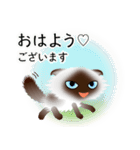色々な猫4-4 長毛-垂れ耳-シャム（個別スタンプ：1）