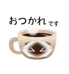 色々な猫4-4 長毛-垂れ耳-シャム（個別スタンプ：9）