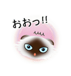 色々な猫4-4 長毛-垂れ耳-シャム（個別スタンプ：10）