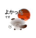 色々な猫4-4 長毛-垂れ耳-シャム（個別スタンプ：11）