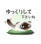色々な猫4-4 長毛-垂れ耳-シャム（個別スタンプ：12）