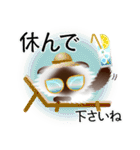 色々な猫4-4 長毛-垂れ耳-シャム（個別スタンプ：13）