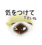 色々な猫4-4 長毛-垂れ耳-シャム（個別スタンプ：14）