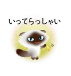 色々な猫4-4 長毛-垂れ耳-シャム（個別スタンプ：15）