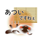 色々な猫4-4 長毛-垂れ耳-シャム（個別スタンプ：21）