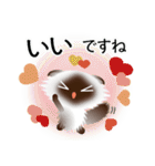 色々な猫4-4 長毛-垂れ耳-シャム（個別スタンプ：24）