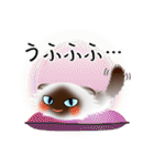 色々な猫4-4 長毛-垂れ耳-シャム（個別スタンプ：25）