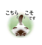 色々な猫4-4 長毛-垂れ耳-シャム（個別スタンプ：32）