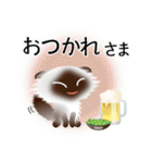 色々な猫4-4 長毛-垂れ耳-シャム（個別スタンプ：40）