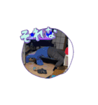 ドンチョイVol.2（個別スタンプ：1）
