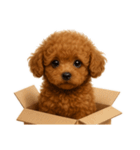 そのままトイ・プードル（個別スタンプ：25）