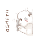 日常使い「垂れ耳うさぎ（フロスティ）（個別スタンプ：1）