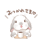 日常使い「垂れ耳うさぎ（フロスティ）（個別スタンプ：2）