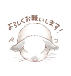 日常使い「垂れ耳うさぎ（フロスティ）（個別スタンプ：3）