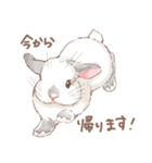 日常使い「垂れ耳うさぎ（フロスティ）（個別スタンプ：6）