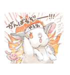 日常使い「垂れ耳うさぎ（フロスティ）（個別スタンプ：12）