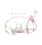 日常使い「垂れ耳うさぎ（フロスティ）（個別スタンプ：13）