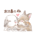 日常使い「垂れ耳うさぎ（フロスティ）（個別スタンプ：19）