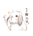 日常使い「垂れ耳うさぎ（フロスティ）（個別スタンプ：23）