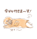 日常使い「垂れ耳うさぎ（オレンジ）」（個別スタンプ：5）