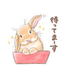 日常使い「垂れ耳うさぎ（オレンジ）」（個別スタンプ：7）