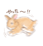 日常使い「垂れ耳うさぎ（オレンジ）」（個別スタンプ：9）