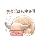 日常使い「垂れ耳うさぎ（オレンジ）」（個別スタンプ：15）