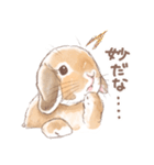 日常使い「垂れ耳うさぎ（オレンジ）」（個別スタンプ：18）