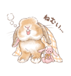 日常使い「垂れ耳うさぎ（オレンジ）」（個別スタンプ：20）