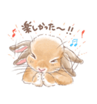 日常使い「垂れ耳うさぎ（オレンジ）」（個別スタンプ：22）