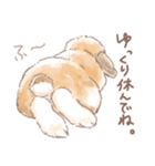 日常使い「垂れ耳うさぎ（オレンジ）」（個別スタンプ：24）