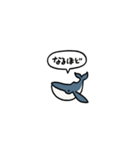 小さいクジラ(フキダシ)（個別スタンプ：9）