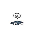 小さいクジラ(フキダシ)（個別スタンプ：11）