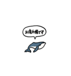 小さいクジラ(フキダシ)（個別スタンプ：16）