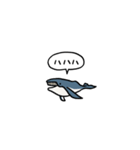 小さいクジラ(フキダシ)（個別スタンプ：23）