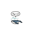 小さいクジラ(フキダシ)（個別スタンプ：29）