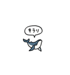 小さいクジラ(フキダシ)（個別スタンプ：31）