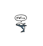小さいクジラ(フキダシ)（個別スタンプ：34）