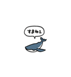 小さいクジラ(フキダシ)（個別スタンプ：39）
