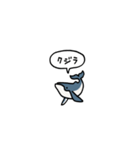 小さいクジラ(フキダシ)（個別スタンプ：40）